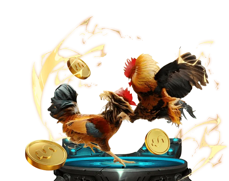 Giao diện hướng dẫn cá cược đá gà Thomo